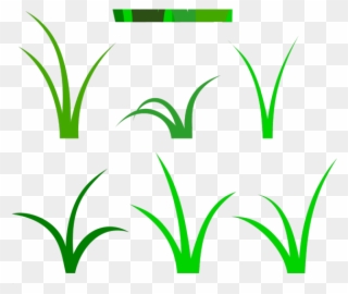 Lawn Clipart Tall Grass - Clip Art - Png Download