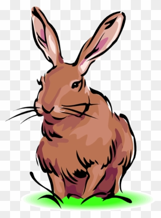 Free Rabbit Clipart - Black Tailed Jackrabbit Animated - Png Download