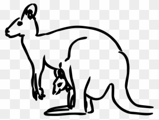 Mammal Clipart Animal Drawing - Kangaroo Clipart - Png Download