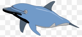 Dolphin Fish Cartoon Png Clipart