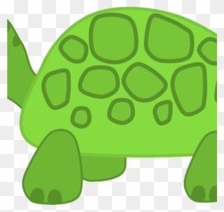 Turtle Images Clip Art Free Clipart Turtle Scout Science - Twisted Envy Aristurtle Aristotle Novelty Mug - Png Download