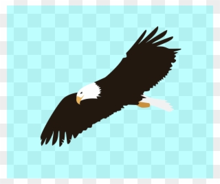 Soaring Eagle Clipart - Bald Eagle Clipart Png Transparent Png