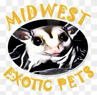 Clip Art Royalty Free Welcome To Midwest Pets - Pet - Png Download