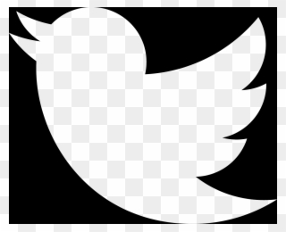 Download White Twitter Logo Transparent Clipart Clip - White Twitter Logo Png Transparent Background