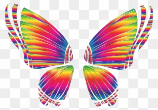 Rgb Butterfly Silhouette 10 8 No Background Bclipart - Png Download