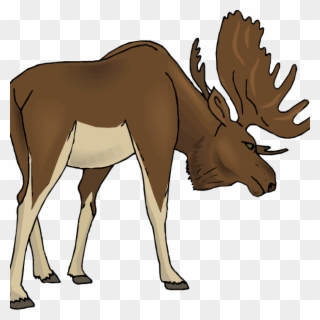 Free Moose Clipart Clipart Money Illustrations 10 Free - Moose Clipart Transparent - Png Download