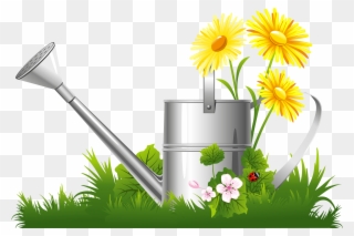 Camomile Clipart Spring Grass - Png Download