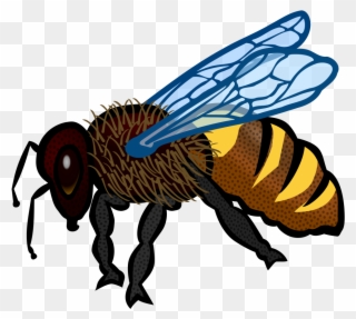 Bee - Bee Pictures To Colour Clipart