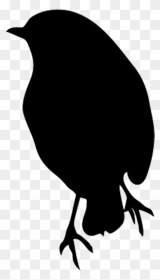 Silhouette Of Robin - Robin Bird Black And White Clipart
