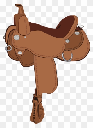 Vector Free Library Identify Horse Types Play - Transparent Cartoon Horse Saddle Clipart