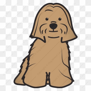 Lost Dog Alert Cinnamon Is Missing In East Indianapolis - Lhasa Apso Drawings Easy Clipart