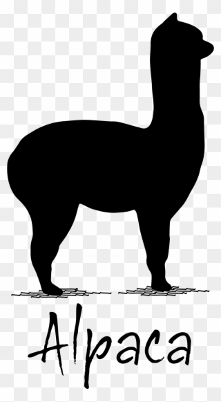 Eat Black And White Clipart - Team Alpaca - Png Download