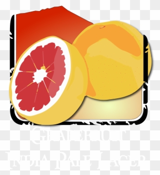 Grapefruit Ipl 45 Ibu/7 - Pomelo Clipart