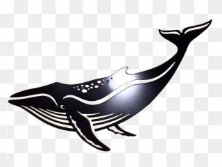 Anvil Whale 1 V=1500396004 - Baleia Jubarte Desenho Colorido Clipart