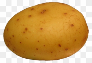 Potato Clipart High Resolution - Potato With Curly Hair - Png Download