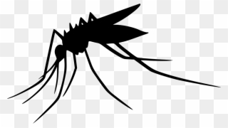 Vector Mosquitoes Outline - Mosquito Vector Free Download Clipart