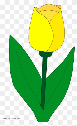 Leaves Clipart Tulip - Tulip - Png Download