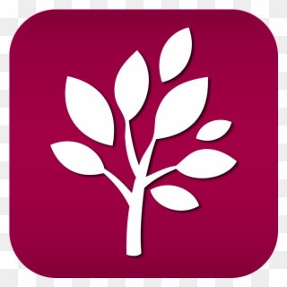 Loyola's Campus Landscapes Are Award Winning Locations - Tree Icon Clipart