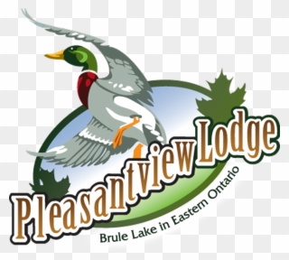 Pleasantview Lodge Plevna, Ontario - Mallard Clipart