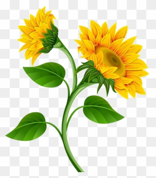 Garland Clipart Marigold - Sunflower Flower Clip Art - Png Download