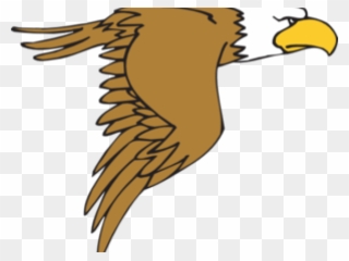 Peregrine Falcon Clipart - Bald Eagle Cartoon Png Transparent Png