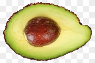Avocado Half Clipart
