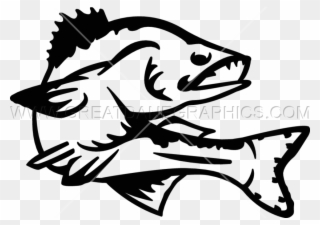 Walleye Vector Clipart Black And White Stock - Walleye Line Art - Png Download