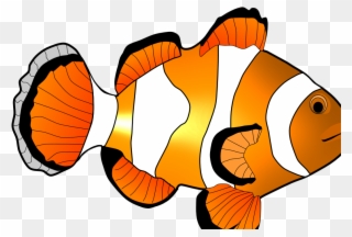 Home Images Clown Fish Clip Art Clown Fish Clip Art - Clip Art - Png Download