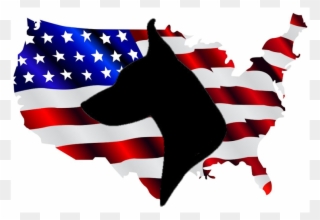 **we Do Require All Adopters To Fill Out An Application - Distressed High Resolution American Flag Clipart