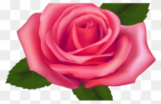19 Roses Clip Black And White Garden Rose Huge Freebie - Pink Rose Png Transparent Png
