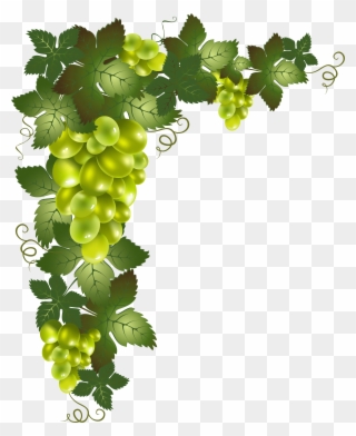 Grape Vine Border Png - Transparent Grape Vine Png Clipart