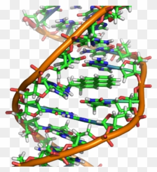 New Technologies Often Have Unforeseeable Consequences - Ethidium Bromide Dna Structure Clipart