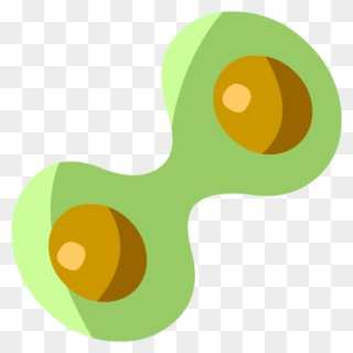 Mitosis - Mitosis Brainpop Clipart