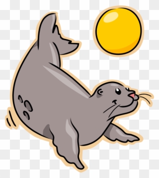 Seal Plays Beach Vector Image Illustration Of - Imagenes De Focas De Caricatura Clipart