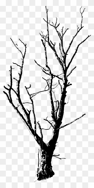 Medium Image - Dead Tree Line Drawing Clipart