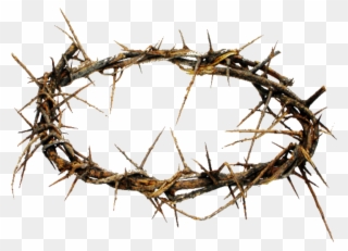 Crown Of Thorns Png Hd Transparent Crown Of Thorns - Story Of His Love - Cd Clipart