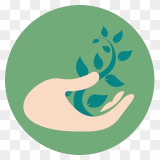 A Hand And A Plant - Naturalist Clipart - Png Download