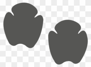 Footprint Clipart Rhino Rhino Footprints Png Download 1027338 Footprint Clipart Rhino Rhino Footprints Png Download 1027338