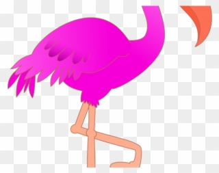 Flamingo Clipart Clear Background - Draw Birds And Names - Png Download