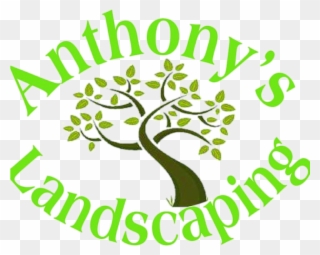 Anthony's Landscaping - Birchwood Highland Clipart