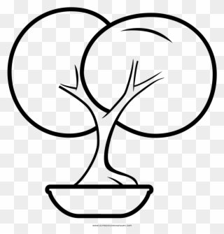 Bonsai Tree Coloring Page - Drawing Clipart