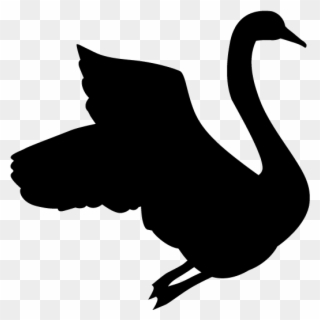 Swan Silhouette Animals Illustration 無料 イラスト 白鳥 Clipart Pinclipart