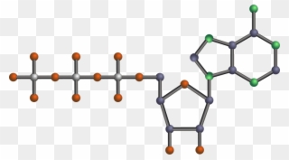 1 - Molecula Atp Clipart