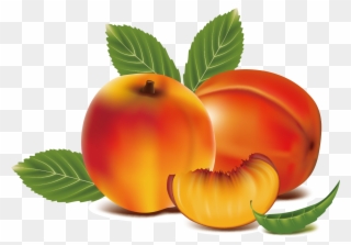 Fruit Clip Art Transprent Png Free Download - Peach Fruit Clipart Transparent Png