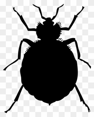 Bed Bugs Clipart - Png Download