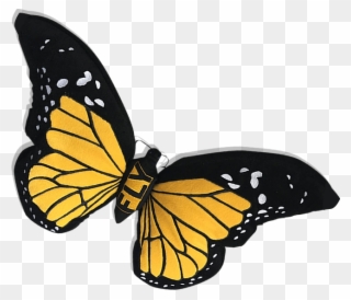 Pin Monarch Clip Art - Butterfly - Png Download
