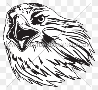 Buzzard Clipart