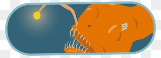 Where The Anglerfish Lure Prey With Their Bioluminescent - Illustration Clipart