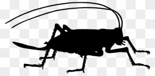 Cricket Farm - Insect Cricket Silhouette Clipart