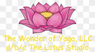 Iyengar Yoga, Easy Yoga - Lotus Drawing With Colour Clipart
